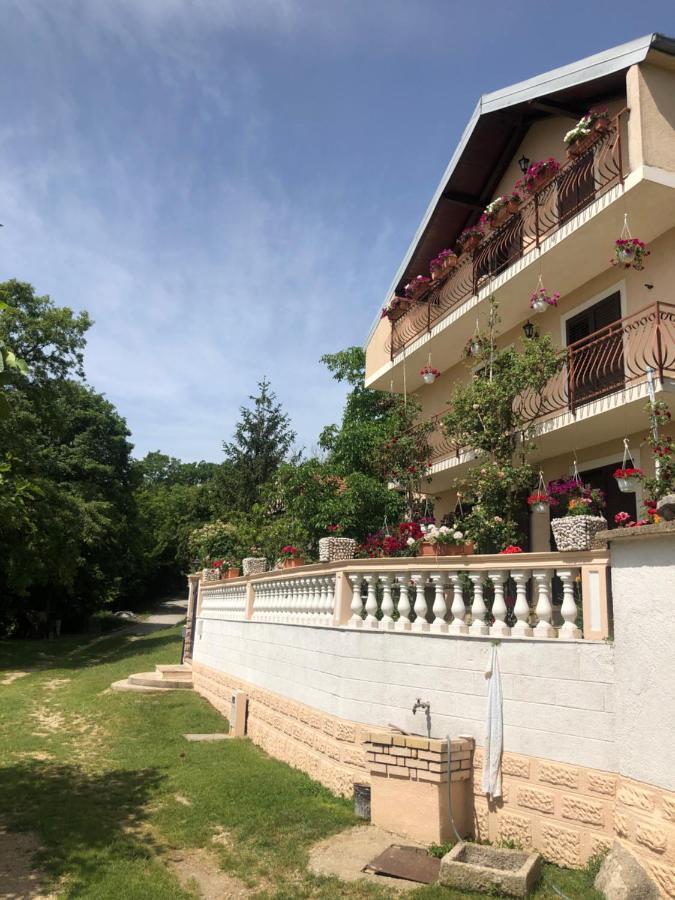 Apartman Ana Vrlika Eksteriør billede